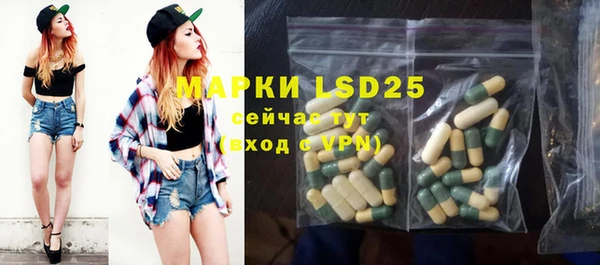 индика Верхнеуральск