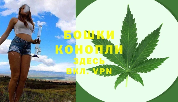 индика Верхнеуральск