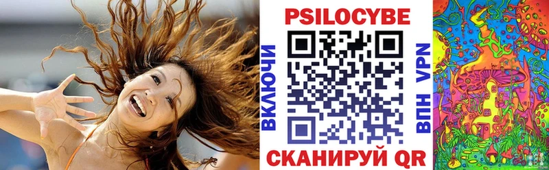 Псилоцибиновые грибы Psilocybe  Яранск 